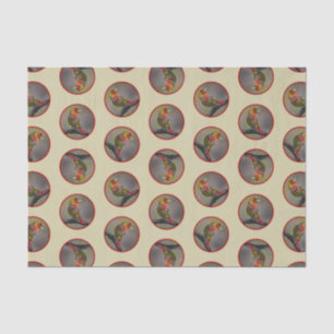 Papier Mousseline Scarlet Tanager Molting Photographie originale