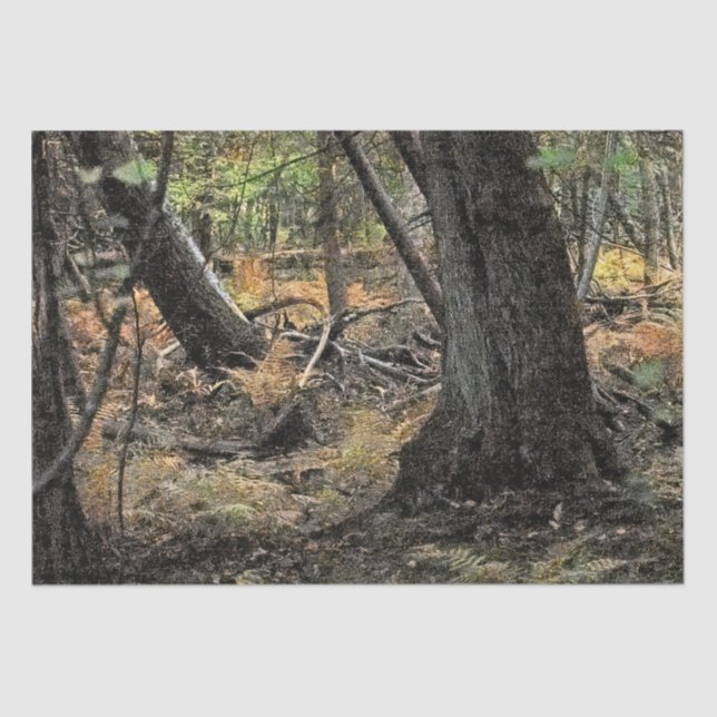 Papier Mousseline Scène forestière d'automne (Recto)