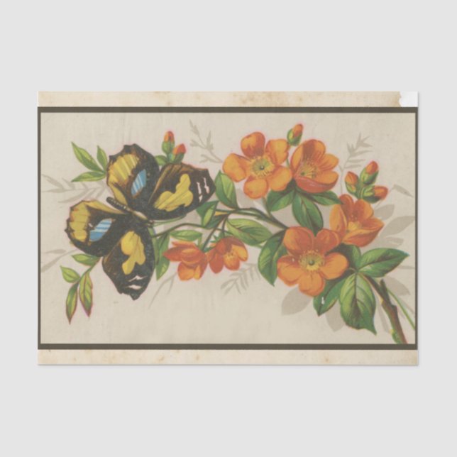 Papier Mousseline Scrap Ephemera Design Series #28 (Recto)