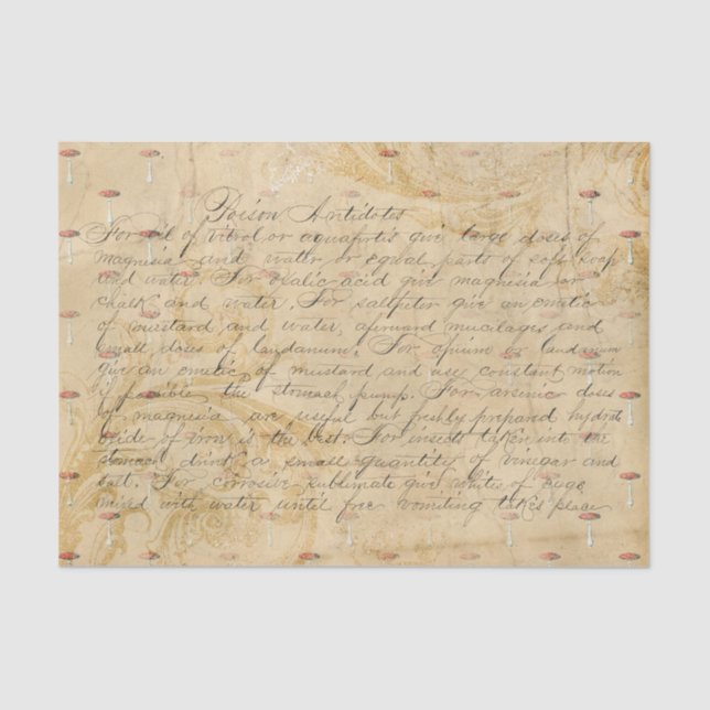 Papier Mousseline Script et recette de champignons vintages (Recto)