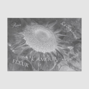 Papier Mousseline Script Vintage Noir Et Blanc Négatif De Tournesol