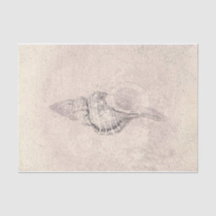 Papier Mousseline Sea Shell Sepia Vintage Ocean Beach Texture