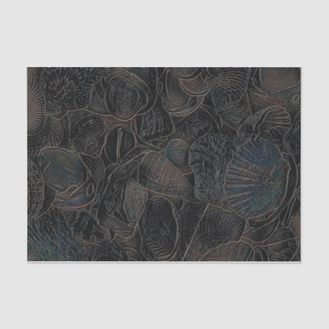 Papier Mousseline Sea Shells Dark Turquoise Black Ocean Beach Art (Recto)