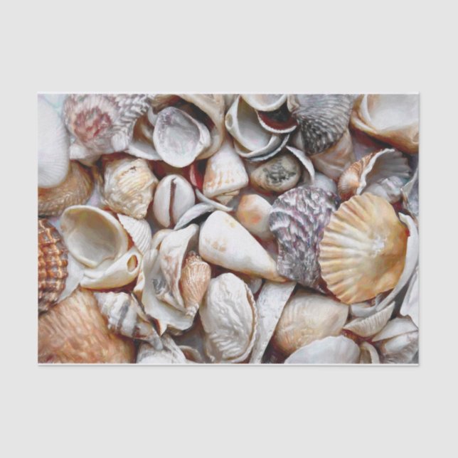 Papier Mousseline Sea Shells Ocean Beach Belle page de découpage (Recto)