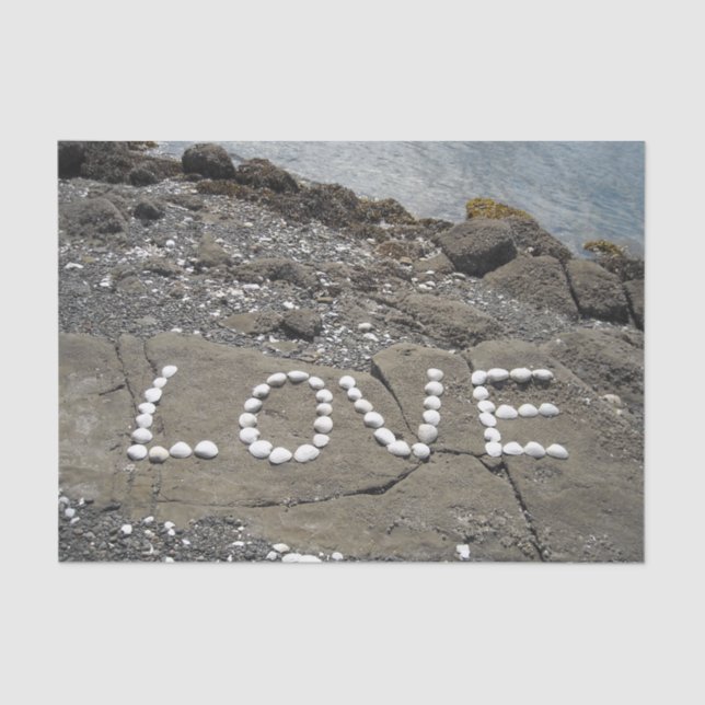 Papier Mousseline Seashell Art sur la plage (Recto)