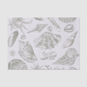 Papier Mousseline Seashell Soft Antique Art Beach Shops
