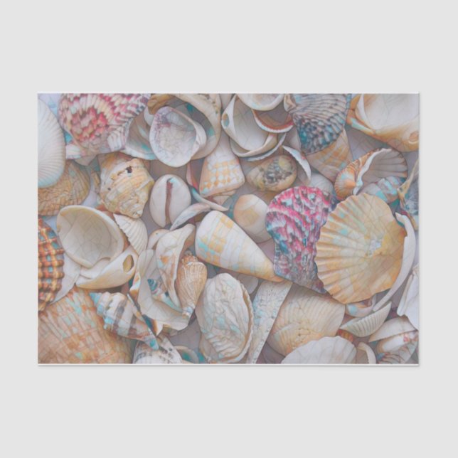 Papier Mousseline Seashells Ocean Beach Mosaic Art Decoupage (Recto)