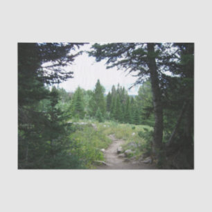 Papier Mousseline Sentier Grand Teton