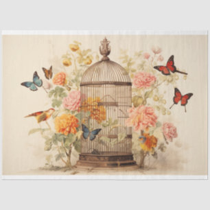Papier Mousseline Sérénade du jardin : Découpage de cage à oiseaux