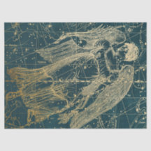 Série Carte des Étoiles de la Galaxie d'Or Design
