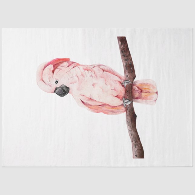 Papier Mousseline Série d'oiseaux tropicaux : Cockatoo (Recto)