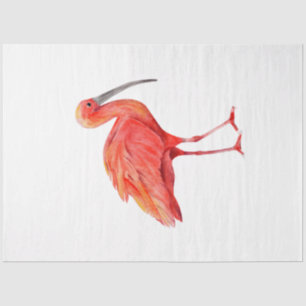 Papier Mousseline Série d'oiseaux tropicaux : Ibis écarlate