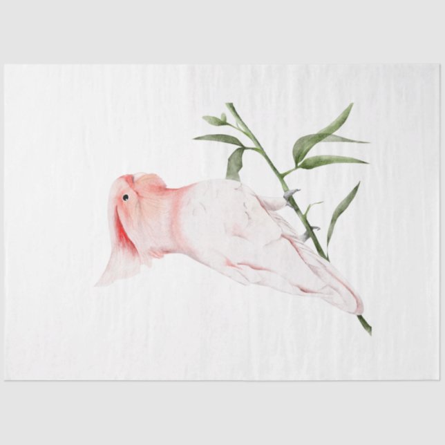 Papier Mousseline Série d'oiseaux tropicaux : Mitchells majeurs (Recto)