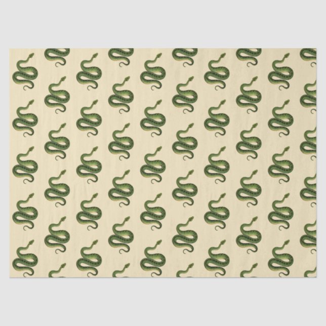 Papier Mousseline Serpent Vert (Recto)