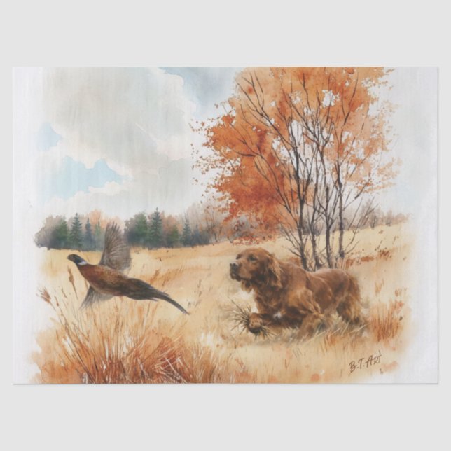 Papier Mousseline Setter irlandais  (Recto)