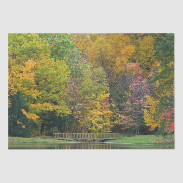 Papier Mousseline Seven Springs Fall Bridge II Autumn Paysage (Recto)