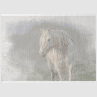 Papier Mousseline Shawnee Mare