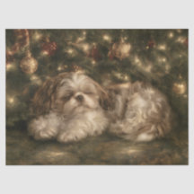 Shih Tzu endormi