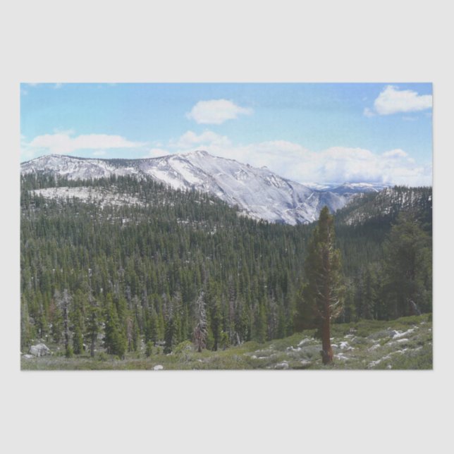 Papier Mousseline Sierra Nevada Mountains II de Yosemite (Recto)