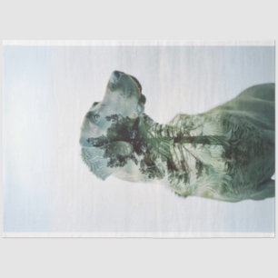 Papier Mousseline Silhouette Lab Film Exposé Découpage