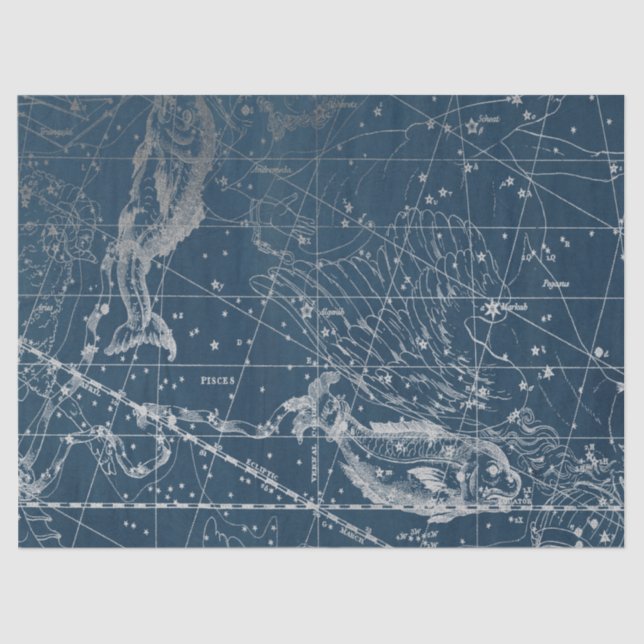 Papier Mousseline Silver Galaxy Star Map Series Design 12 (Recto)