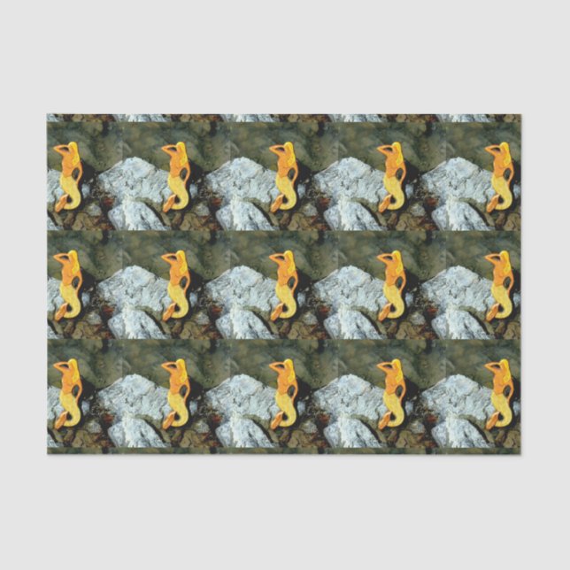 Papier Mousseline sirènes d'observation blonde (Recto)