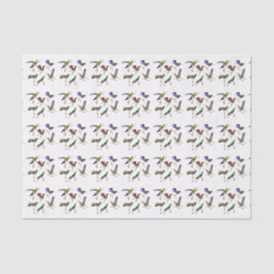 Papier Mousseline Six beaux colibris