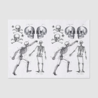 Papier Mousseline Skeleton Skuls Skull n Bones Decoupage Collage Ti
