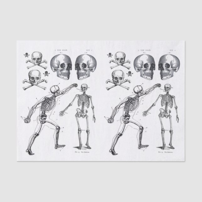 Papier Mousseline Skeleton Skuls Skull n Bones Decoupage Collage Ti (Recto)