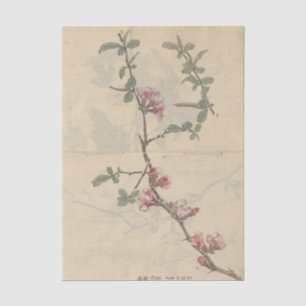 Papier Mousseline Sketchbook Pl. 096 par Ariyoshi Kondo