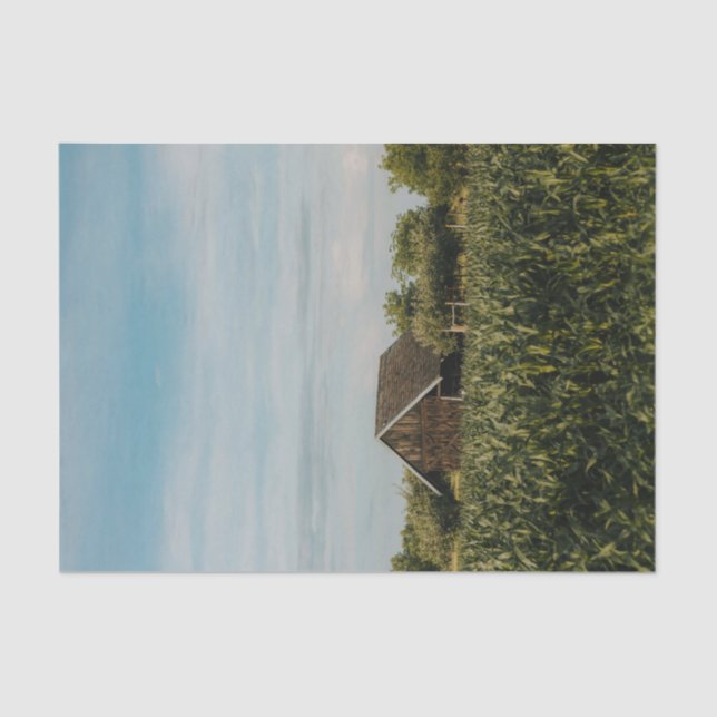 Papier Mousseline Smart Little Barn Cozé jusqu'à un Cornfield (Recto)