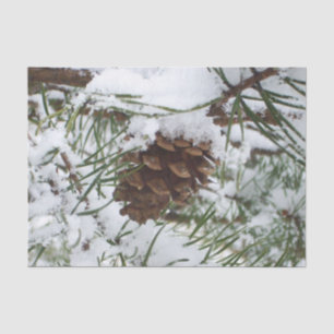 Papier Mousseline Snowy Pine Cone I