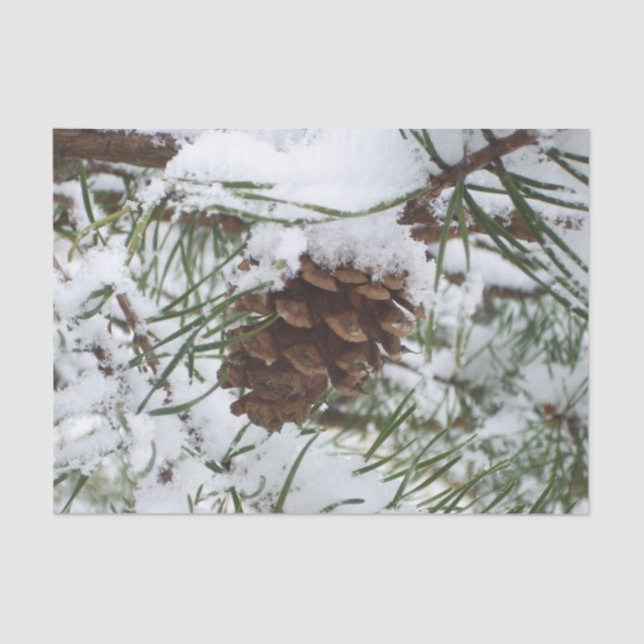 Papier Mousseline Snowy Pine Cone I (Recto)