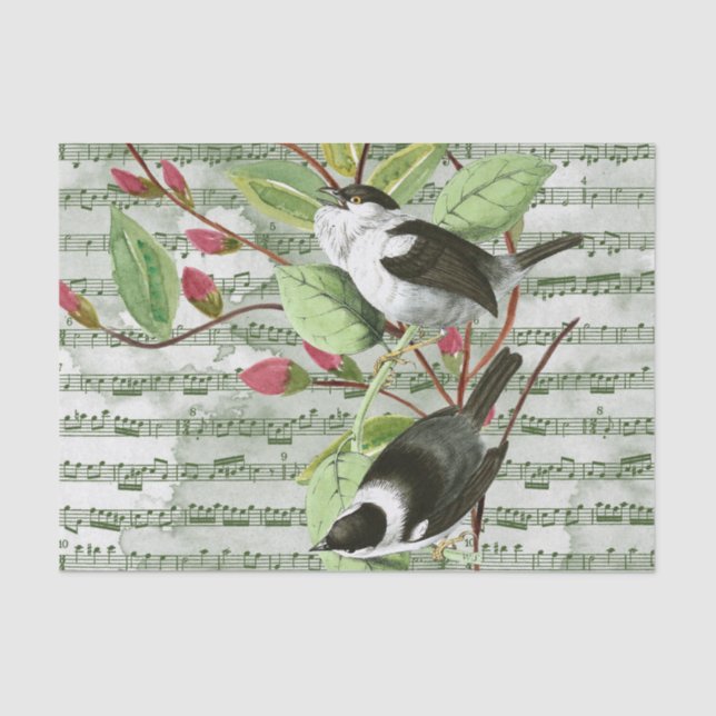 Papier Mousseline Songbirds vintages sur Sheet Music (Recto)