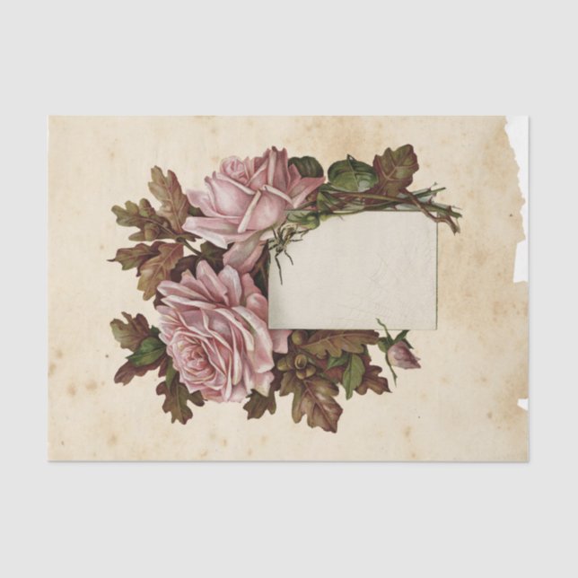 Papier Mousseline Sorcière Ephemera Design série #13 (Recto)