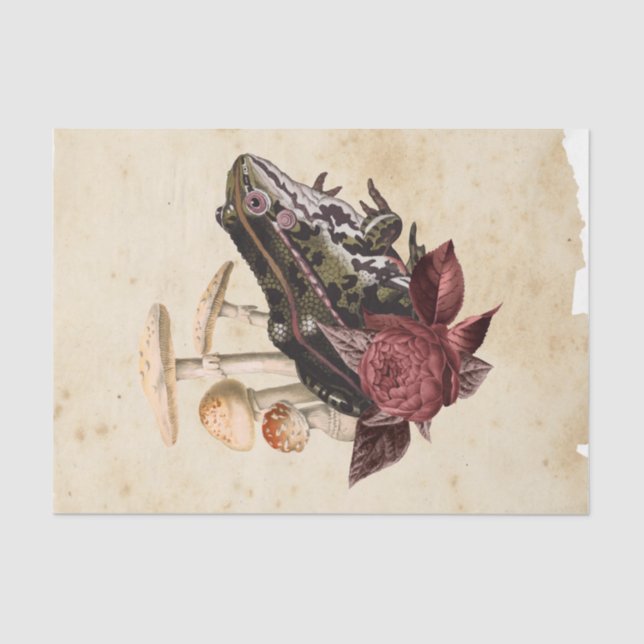 Papier Mousseline Sorcière Ephemera Design série #5 (Recto)