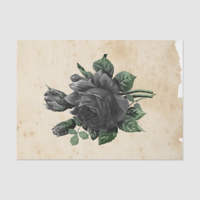 Papier Mousseline Sorcière Ephemera Design Series #9 (Recto)