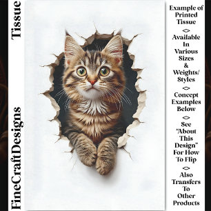 Papier Mousseline Sortant d'un trou, chaton tigré CN6 découpage