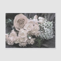 Souffle vintage de bébé d'oeillets de roses blancs