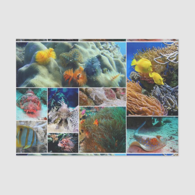 Papier Mousseline Sous-marin 36 (Recto)