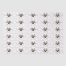 Spider Cobweb Vintage Motif Éffrayant Halloween