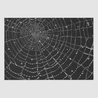 Papier Mousseline Spiderweb