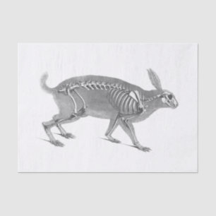 Papier Mousseline Squelette vintage effrayant