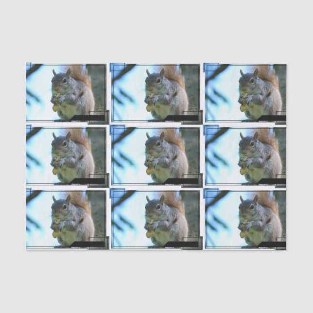 Papier Mousseline squirrel-13.jpg (Recto)