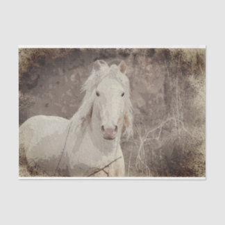 Papier Mousseline Stallion Broadfoot 18 ob. Papier de découpage de t