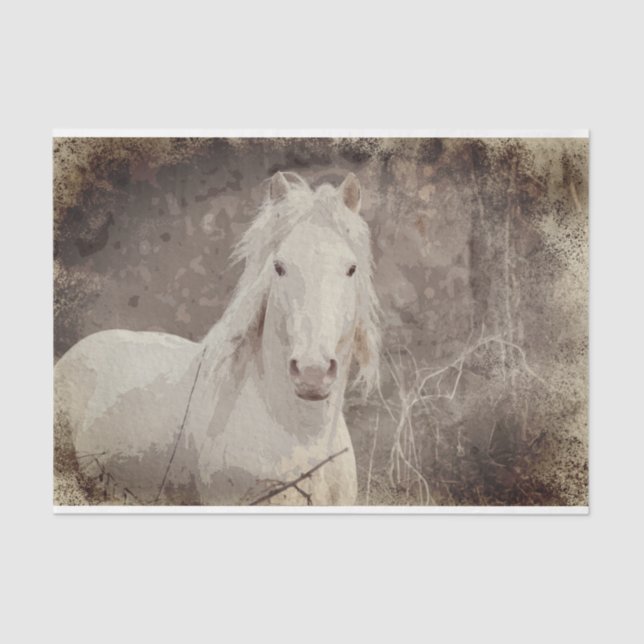 Papier Mousseline Stallion Broadfoot 18 ob. Papier de découpage de t (Recto)