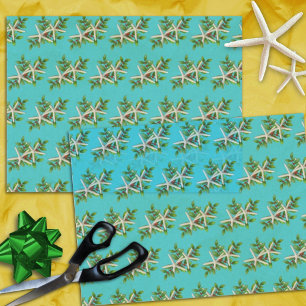 Papier Mousseline Starfish à Holly Aqua Noël bleu