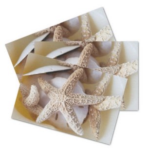 Papier Mousseline Starfish and Sand Dollars Creamy White Coastal