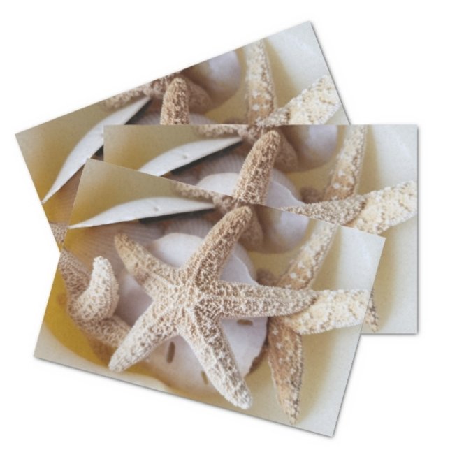 Papier Mousseline Starfish and Sand Dollars Creamy White Coastal (Créateur téléchargé)