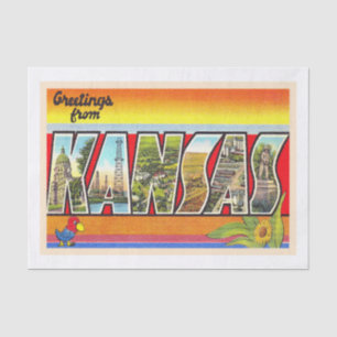 Papier Mousseline State of Kansas KS Vintage Large Letter Postcard